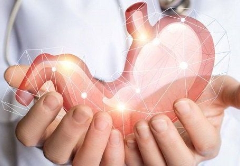 Có thể phòng ngừa ung thư dạ dày bằng cách nào